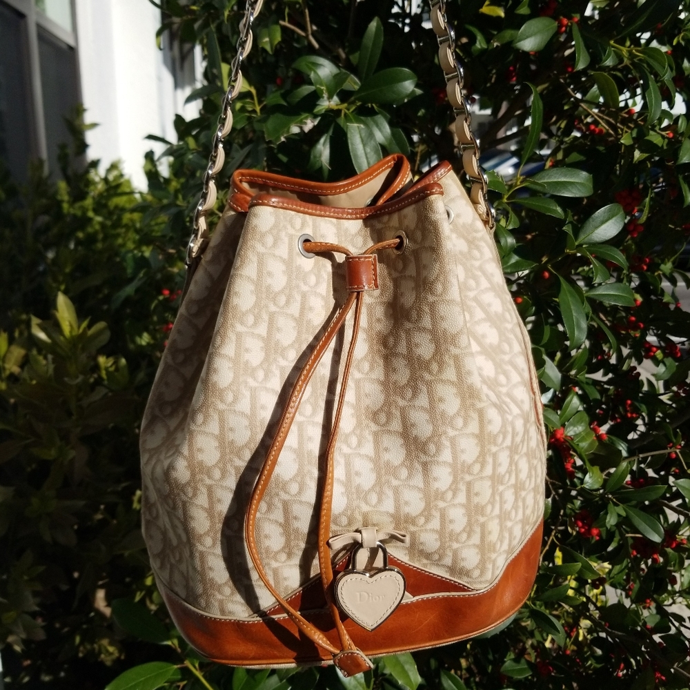 Christian Dior Monogram Romantique bag.